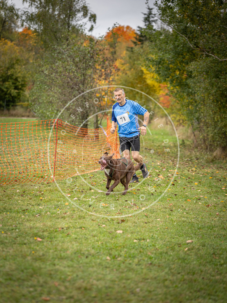 Pfotenfotografie_DV3A2852 | Hundefotografie, Tierfotograf, Pfotenfotografie, Fotoshooting Hund, Hunde Portrait, Hundesport, Hundeportraits, Heideshooting, Hunde, Sportfotograf, Hundefotograf, Turnierhundsport, THS,  - Realisiert mit Pictrs.com