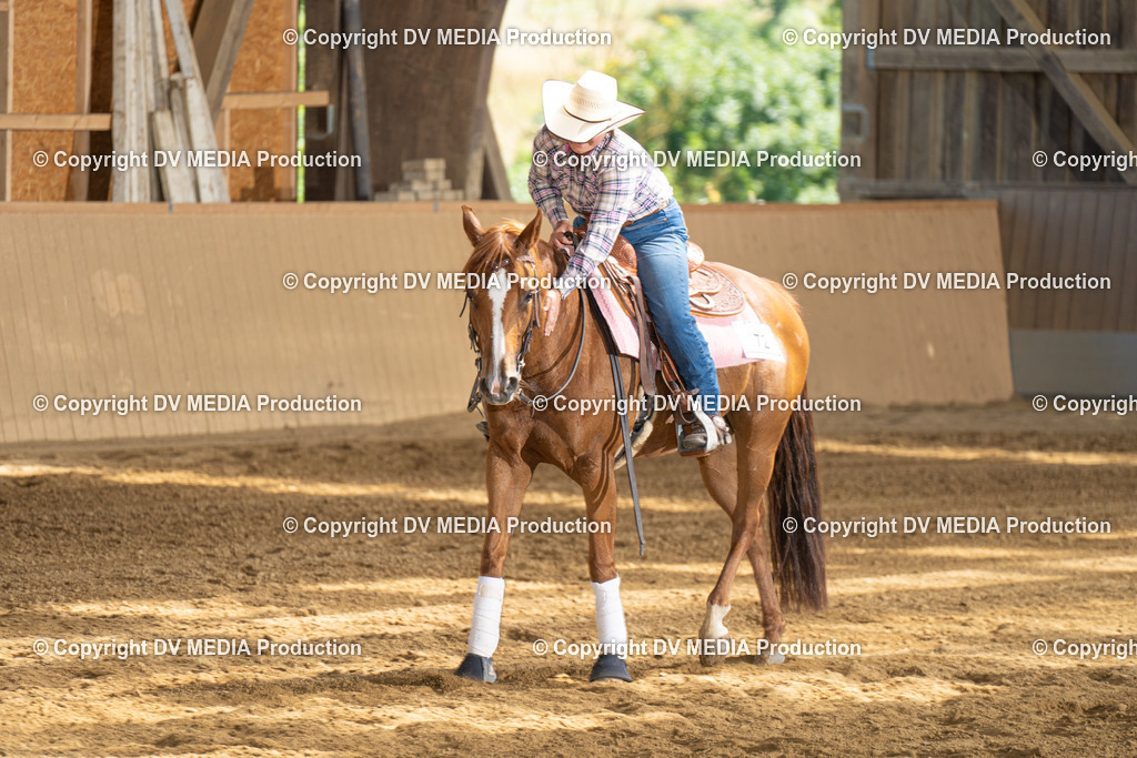 DSC00257 | dv-media-shop - Realisiert mit Pictrs.com