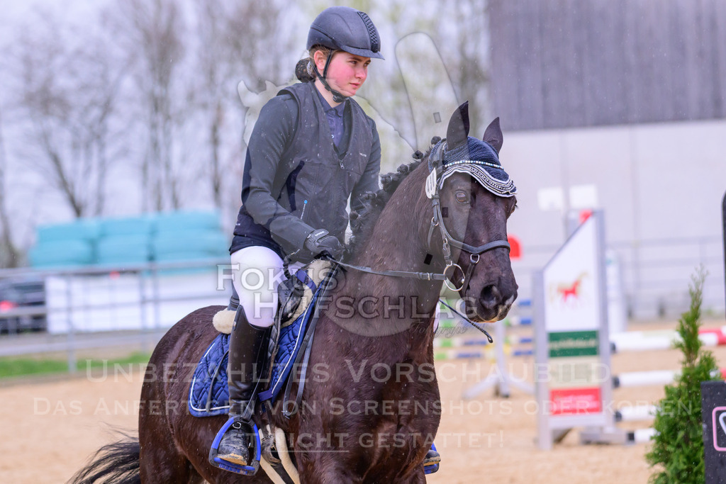 10042026-Mammendorf-Prfg13-0575 | Fokus Hufschlag Fotografie - Realisiert mit Pictrs.com