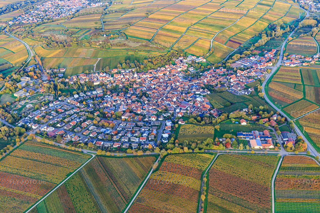 Luftbild: Ortsansicht von Westen in Ilbesheim bei Landau im Bundesland Rheinland-Pfalz in Deutschland. Foto: IMG_135135.jpg vom 22.10.2022 durch Werner Riehm/FLY-FOTO.de