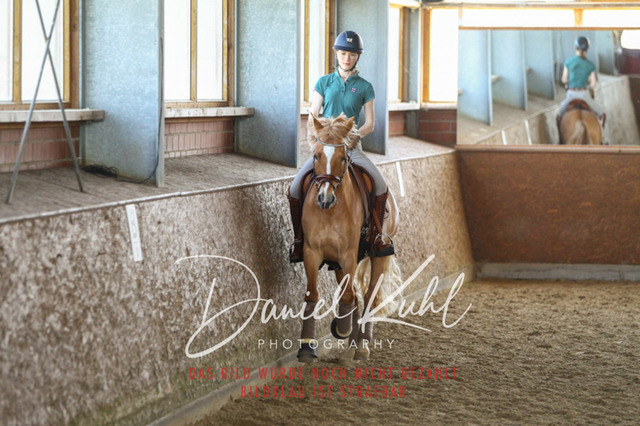 DKP42523 | Turniersportfotografie; Pferdefotografie; Dressurfotografie