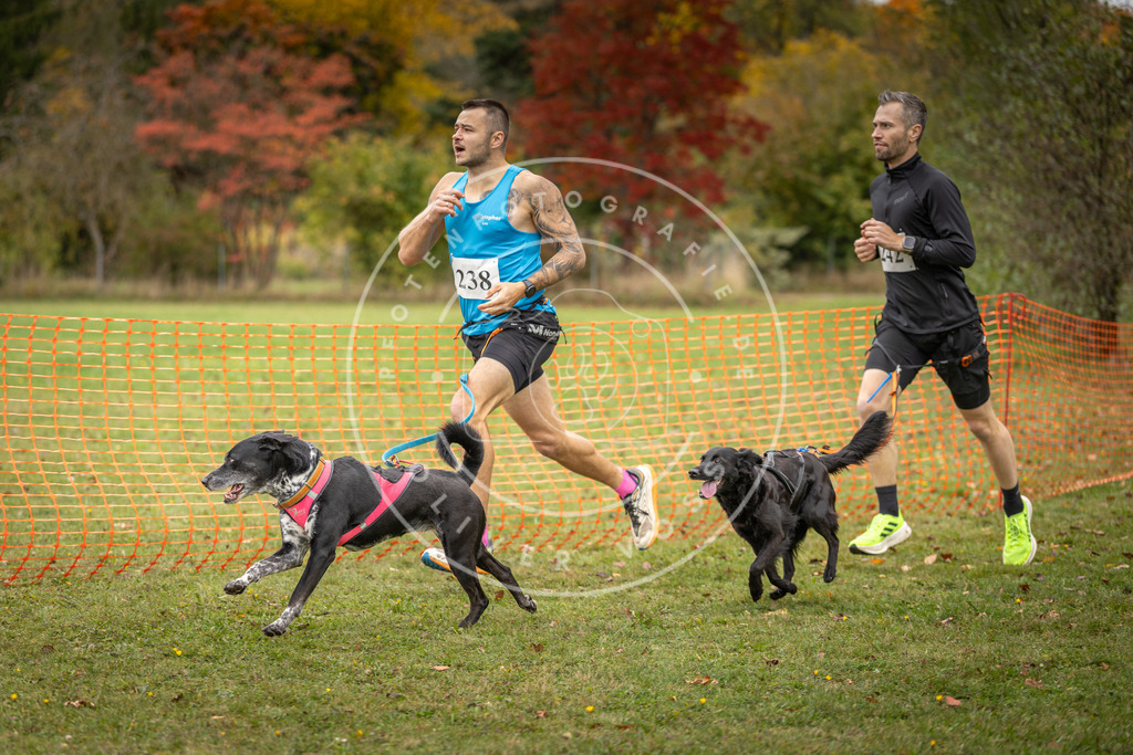 Pfotenfotografie_DV3A4379 | Hundefotografie, Tierfotograf, Pfotenfotografie, Fotoshooting Hund, Hunde Portrait, Hundesport, Hundeportraits, Heideshooting, Hunde, Sportfotograf, Hundefotograf, Turnierhundsport, THS,  - Realisiert mit Pictrs.com