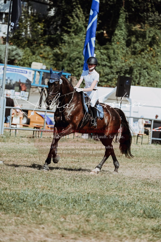 DSC_9654 | Pferde- und Turnierfotografie in Westsachsen. Pferdeportraits, Auftragszeichnungen und intuitive Kunst.