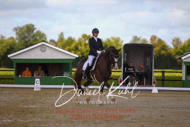 DKP45219 | Turniersportfotografie; Pferdefotografie; Dressurfotografie