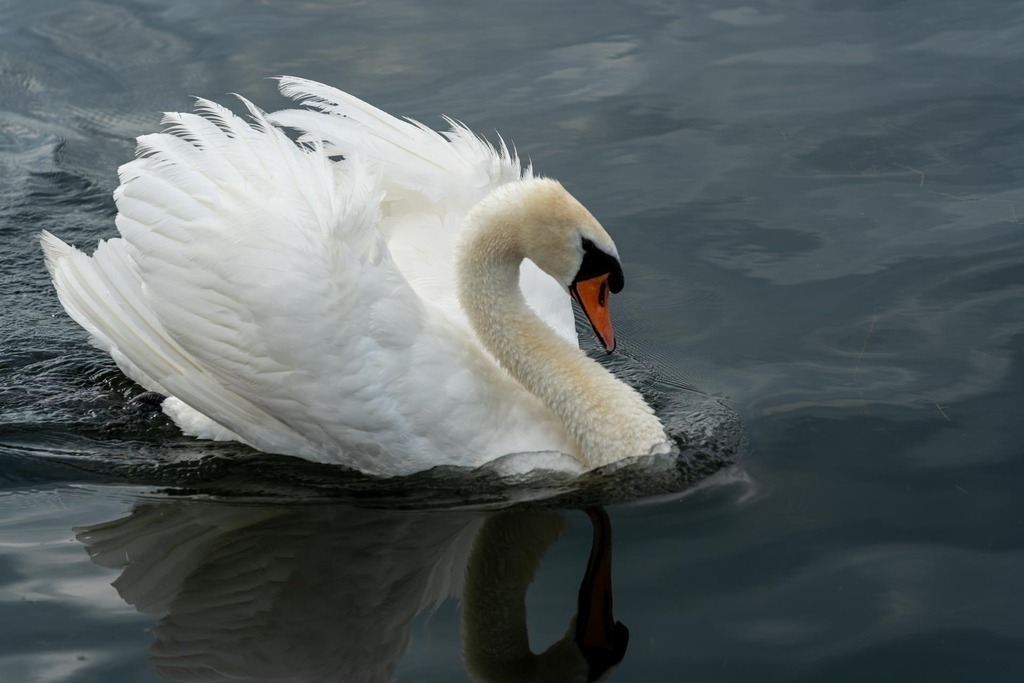 2024_08_01 A7C01757 | bridgeman - Realisiert mit Pictrs.com