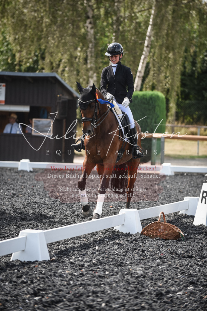 DSC_5178 | Pferde- und Turnierfotografie in Westsachsen. Pferdeportraits, Auftragszeichnungen und intuitive Kunst.