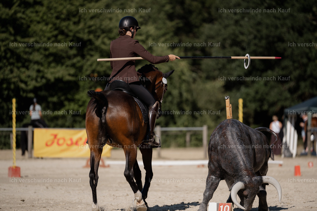 WS_ST_111_stoibphotography_SO11871 | working equitationturnier fotograf videograf stoibphotography marixx film working equitation deutschland reitsport turnierfotografie eventfotografie equestrian events