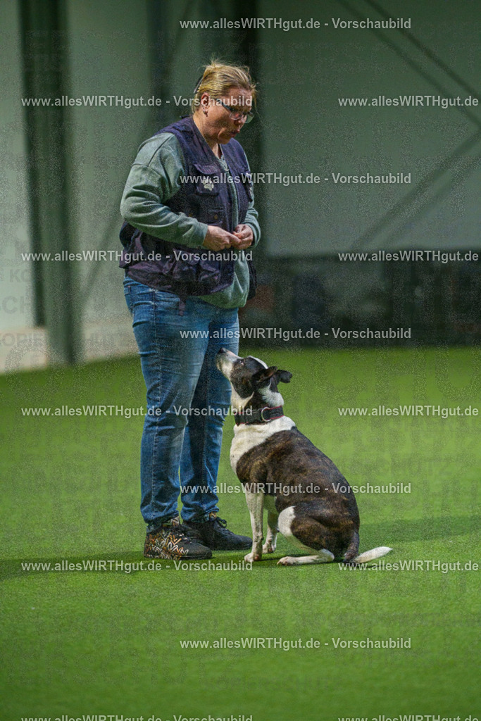 7R509847 | Professionelle Tierfotografie in Mönchengladbach von Daniel Wirth (allesWIRTHgut). Liebevolle & natürliche Bilder von Hunden & Katzen für unvergessliche Erinnerungen.