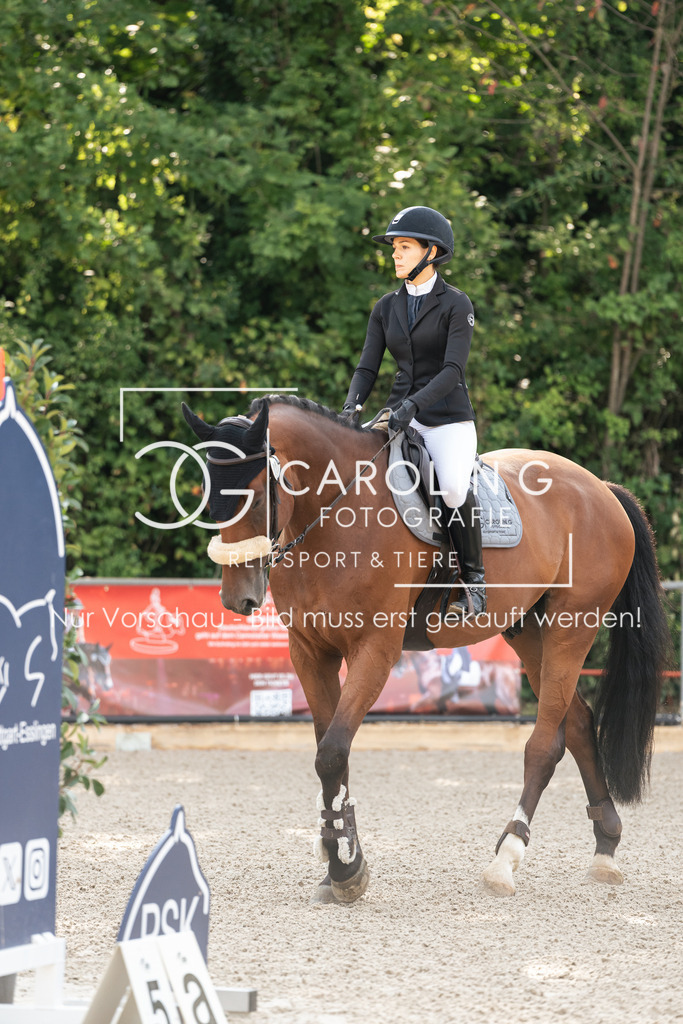 DSC01853 | Carolin Gieschke