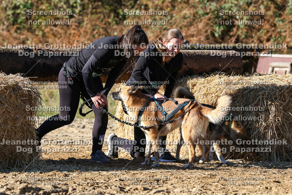 Dog Paparazzi - Strongdog 10-25-2380 | Dog Paparazzi Jeanette Grottendiek Fotografie & Videografie - Realisiert mit Pictrs.com