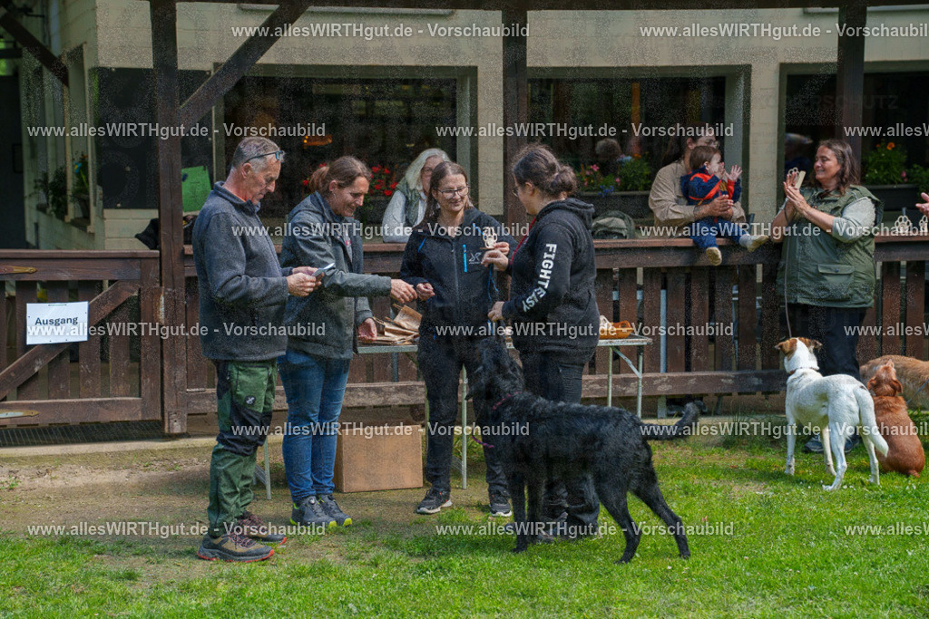 @allesWIRTHgut_Tierfotografie - www.allesWIRTHgut.de - 7R506155 | Professionelle Tierfotografie in Mönchengladbach von Daniel Wirth (allesWIRTHgut). Liebevolle & natürliche Bilder von Hunden & Katzen für unvergessliche Erinnerungen.