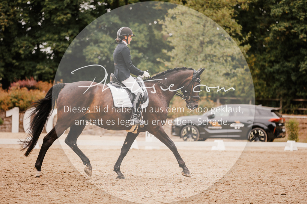 3I6A5845 | Stimmungsvolle Portraits und Reitsportfotografie im Ruhrgebiet und im Münsterland.

Pferdefotografie, Hundefotografie, Tierfotografie, Reportagen, Portraits von Tier und Mensch, Turnierfotografie in Bochum, Recklinghausen, Marl, Haltern am See, Dülmen.. - Realisiert mit Pictrs.com