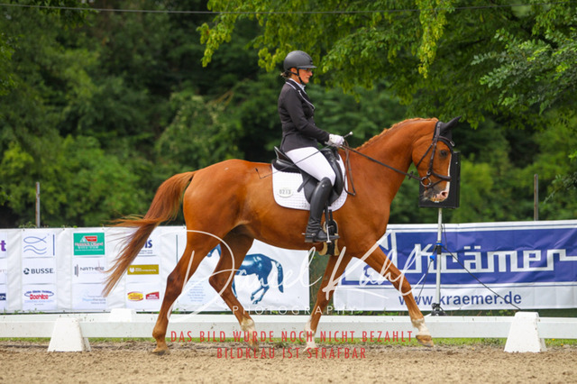 DKP41804 | Turniersportfotografie; Pferdefotografie; Dressurfotografie