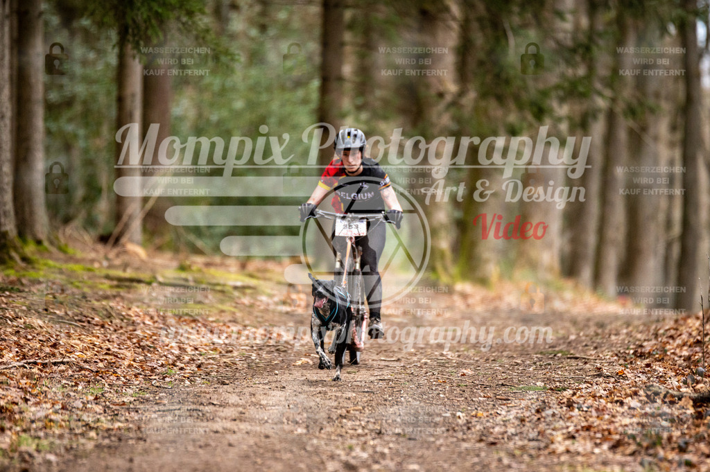 SPA_2023_DIM_Scooter-7 | PayLife