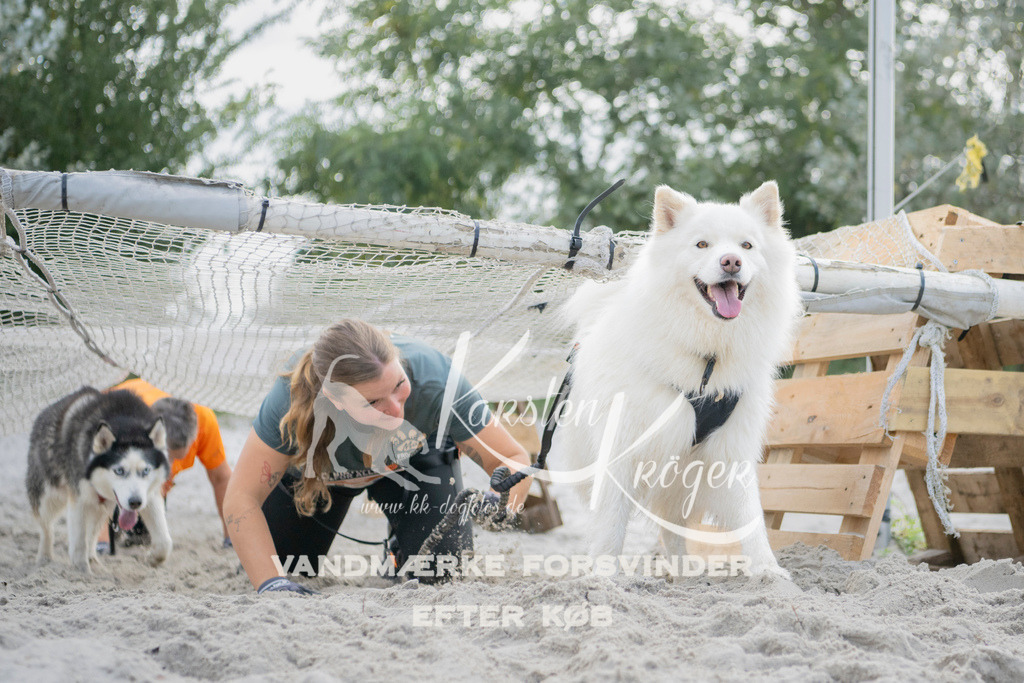 1359_ZZ98984 | kk-dogfotos