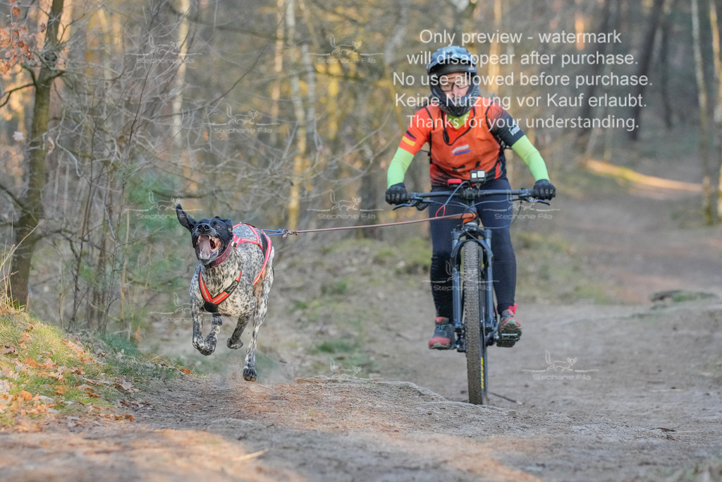 Sa_Bike-21 | stephaniefillaphotographie - Realisiert mit Pictrs.com