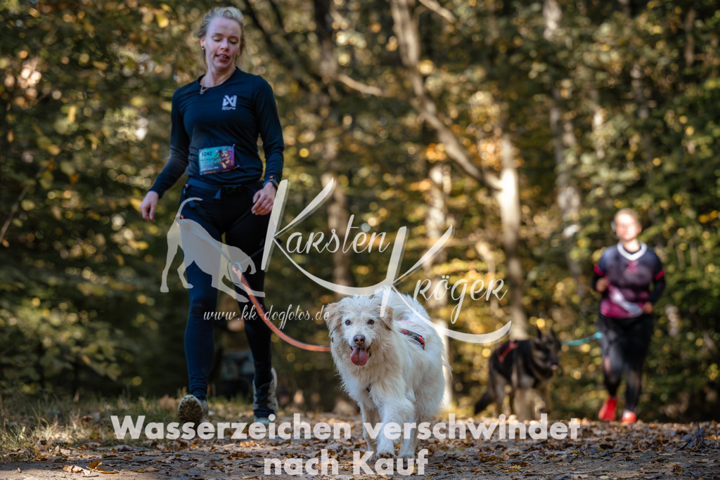 1142_ZZ93165 | kk-dogfotos