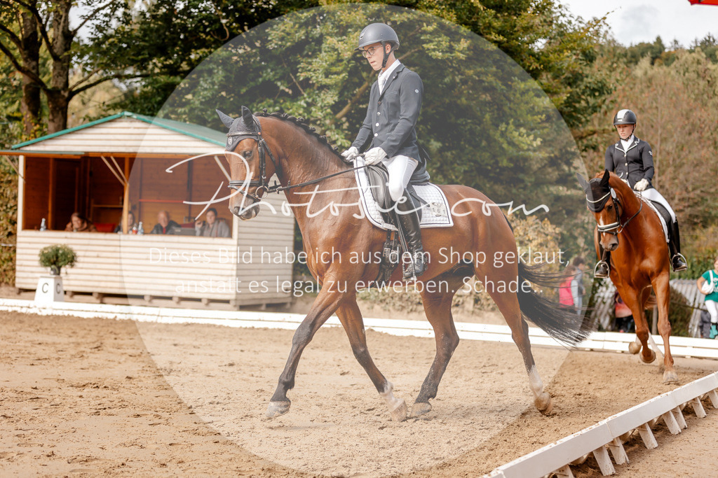 3I6A7224 | Stimmungsvolle Portraits und Reitsportfotografie im Ruhrgebiet und im Münsterland.

Pferdefotografie, Hundefotografie, Tierfotografie, Reportagen, Portraits von Tier und Mensch, Turnierfotografie in Bochum, Recklinghausen, Marl, Haltern am See, Dülmen.. - Realisiert mit Pictrs.com