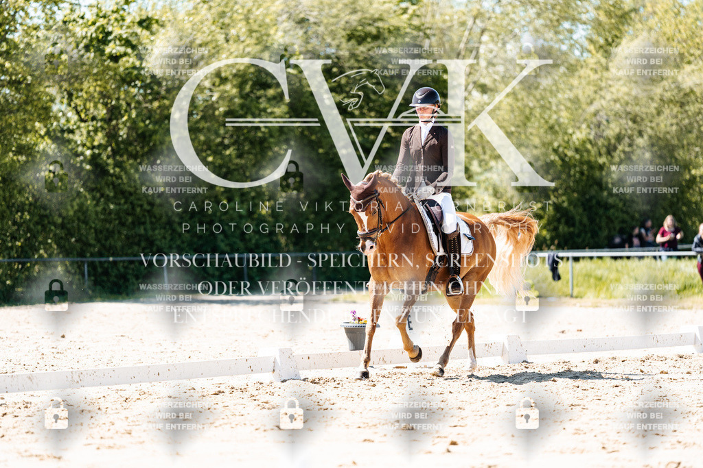 CK905555 | Turnierfotografie Pferdefotografie Trier Rheinland-Pfalz Pferdesport Reitsport Tierfotografie Sportfotografie Pferdevideo Pferdevideografie Equestrianvideography equestrianphotography  - Realisiert mit Pictrs.com