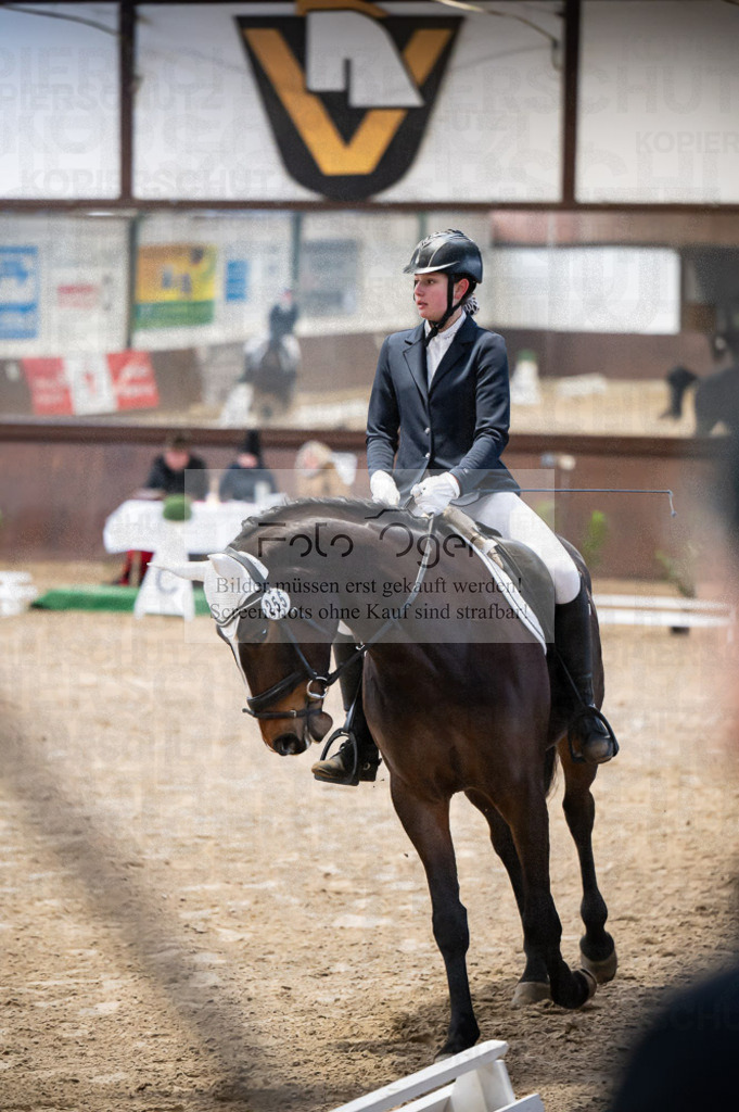 Hallenreittunier Voxtrup 2023 | Entdecke hochwertige Reitturnierfotos von Foto Oger. Professionell, emotional und authentisch – jetzt Lieblingsmomente im Shop bestellen.Deutschlandweite Turnierfotografie. - Realisiert mit Pictrs.com