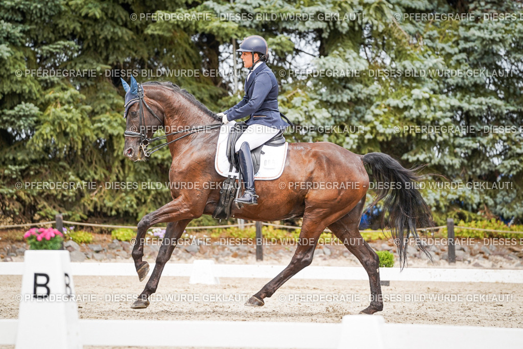 DSC05429 | Pferdegrafie