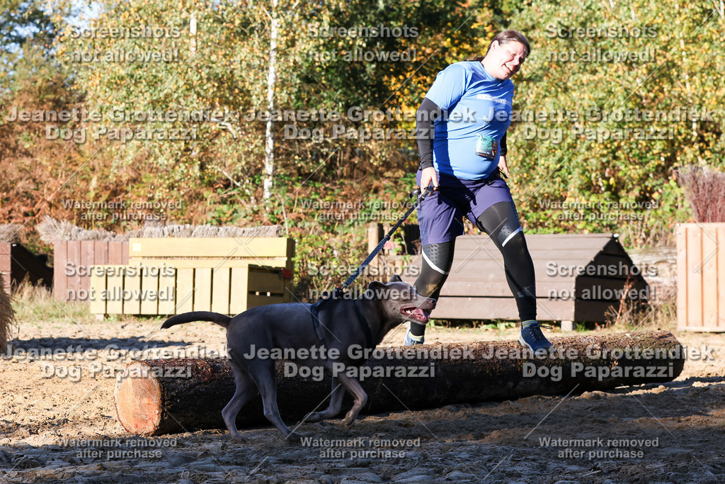 Dog Paparazzi - Strongdog 10-25-1308 | Dog Paparazzi Jeanette Grottendiek Fotografie & Videografie - Realisiert mit Pictrs.com