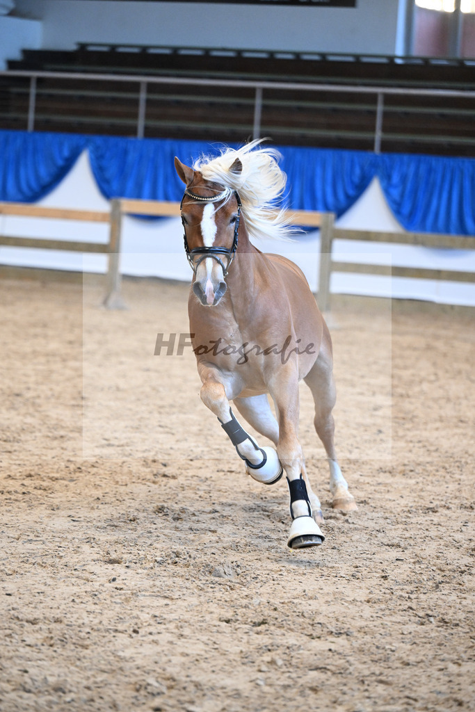 Kat-Nr. 34 nn v. Starino I_Grimminger_48250716 | hf-fotografie - Realisiert mit Pictrs.com