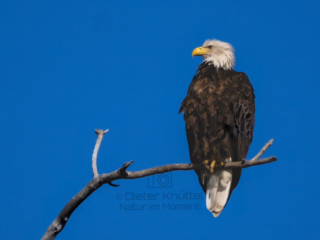 P1637263-Bearbeitet-2023-LR | Natur im Moment - Realisiert mit Pictrs.com