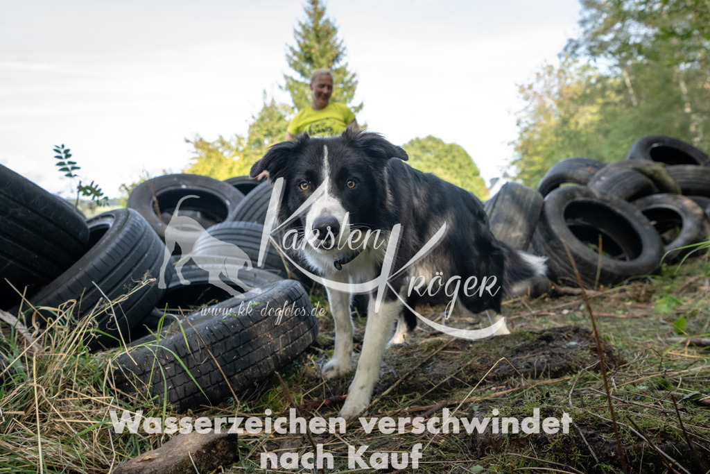 1538_ZZ91999 | kk-dogfotos