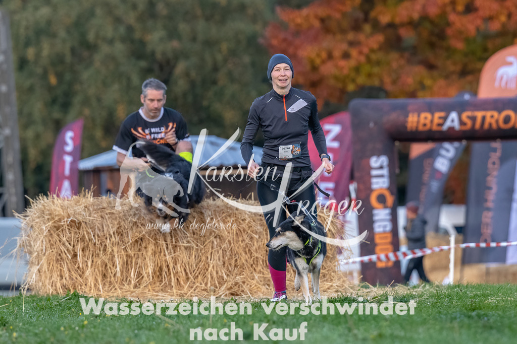 0818_ZZ90250-Bearbeitet | kk-dogfotos