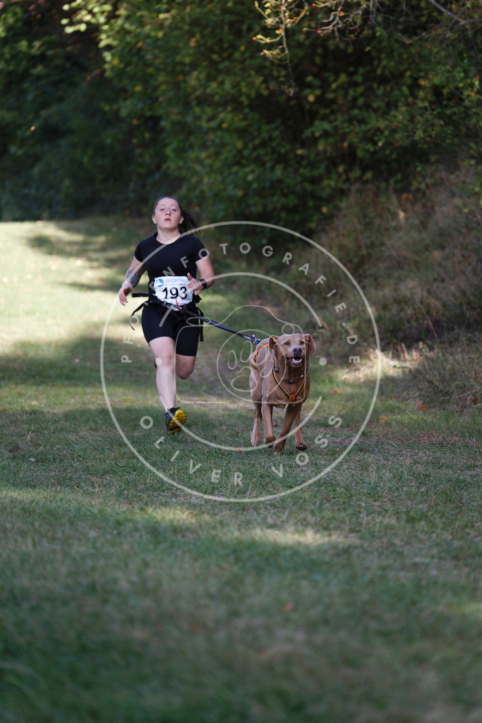0L8A5424 | Hundefotografie, Tierfotograf, Pfotenfotografie, Fotoshooting Hund, Hunde Portrait, Hundesport, Hundeportraits, Heideshooting, Hunde, Sportfotograf, Hundefotograf, Turnierhundsport, THS,  - Realisiert mit Pictrs.com