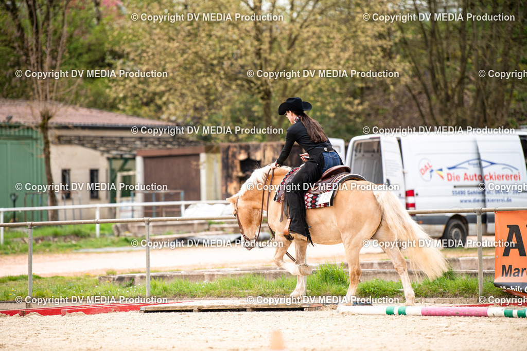 Heiligenwald Tag 1-198 | dv-media-shop - Realisiert mit Pictrs.com