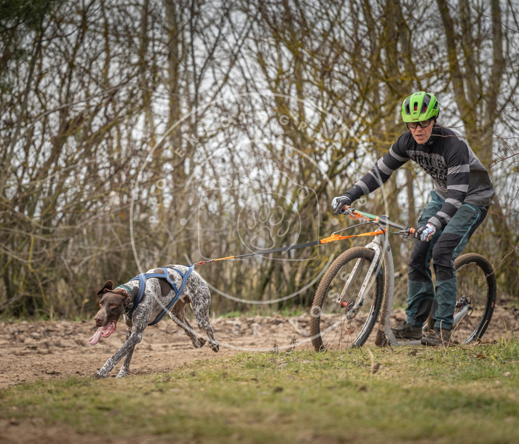 Pfotenfotografie_DV3A9451 | Hundefotografie, Tierfotograf, Pfotenfotografie, Fotoshooting Hund, Hunde Portrait, Hundesport, Hundeportraits, Heideshooting, Hunde, Sportfotograf, Hundefotograf, Turnierhundsport, THS,  - Realisiert mit Pictrs.com
