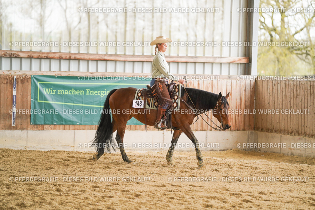 DSC09148 | Pferdegrafie