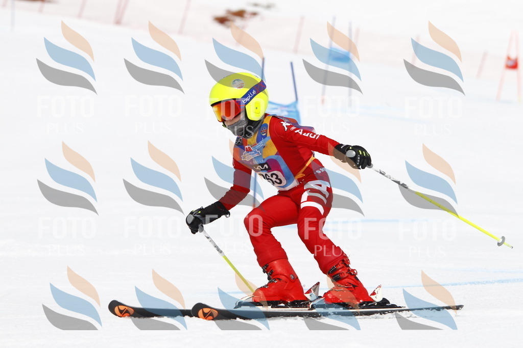 _U3G6592 | holidayphoto