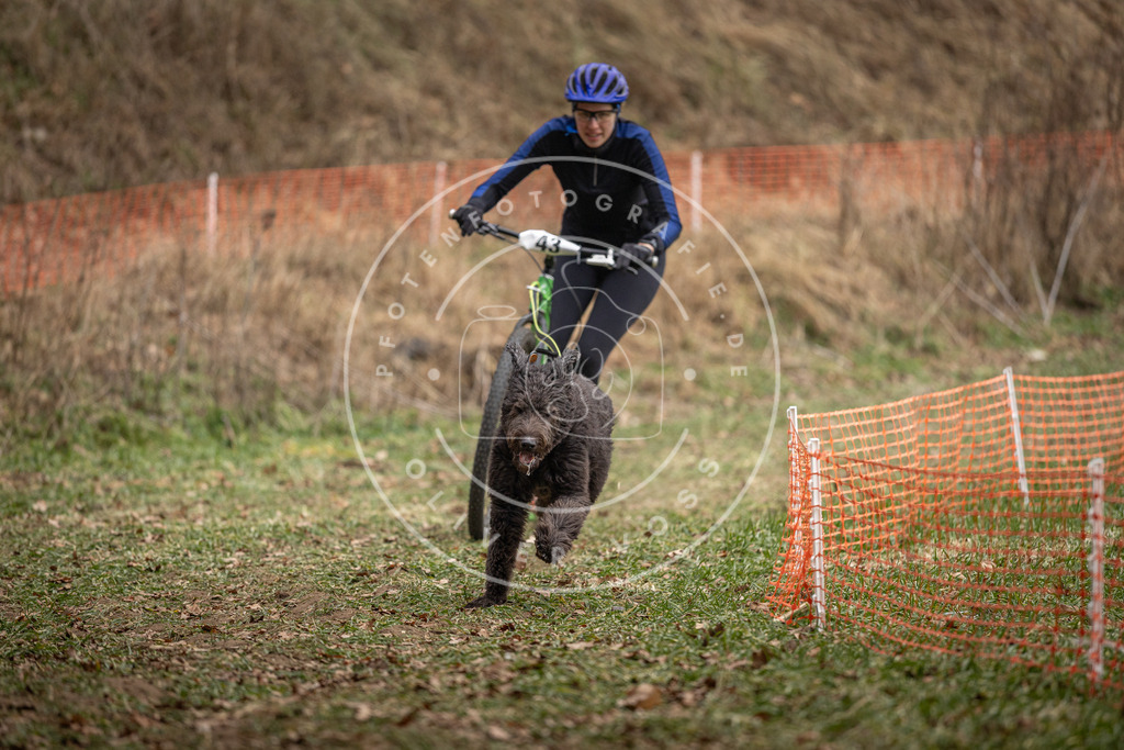 Pfotenfotografie_DV3A0607 | Hundefotografie, Tierfotograf, Pfotenfotografie, Fotoshooting Hund, Hunde Portrait, Hundesport, Hundeportraits, Heideshooting, Hunde, Sportfotograf, Hundefotograf, Turnierhundsport, THS,  - Realisiert mit Pictrs.com