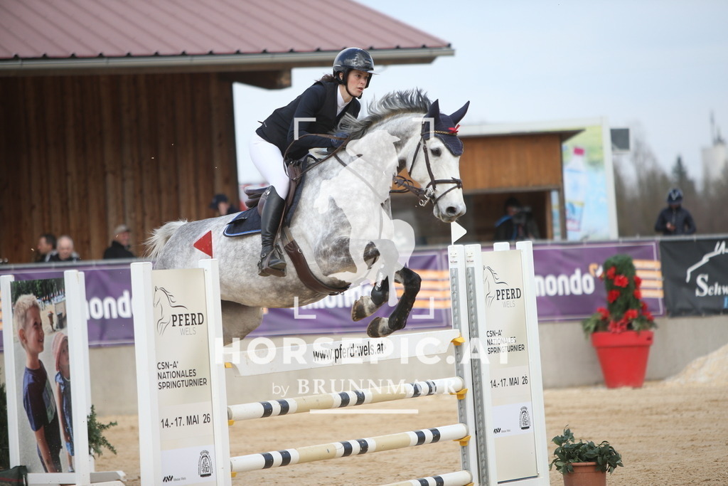 AS8V8009 | Willkommen bei Brunnmayr - Design & Fotografie – Ihrem Spezialisten für Reitturniere und Pferdeveranstaltungen in Oberösterreich, Salzburg und Bayern! Seit über 17 Jahren sind wir leidenschaftlich dabei.