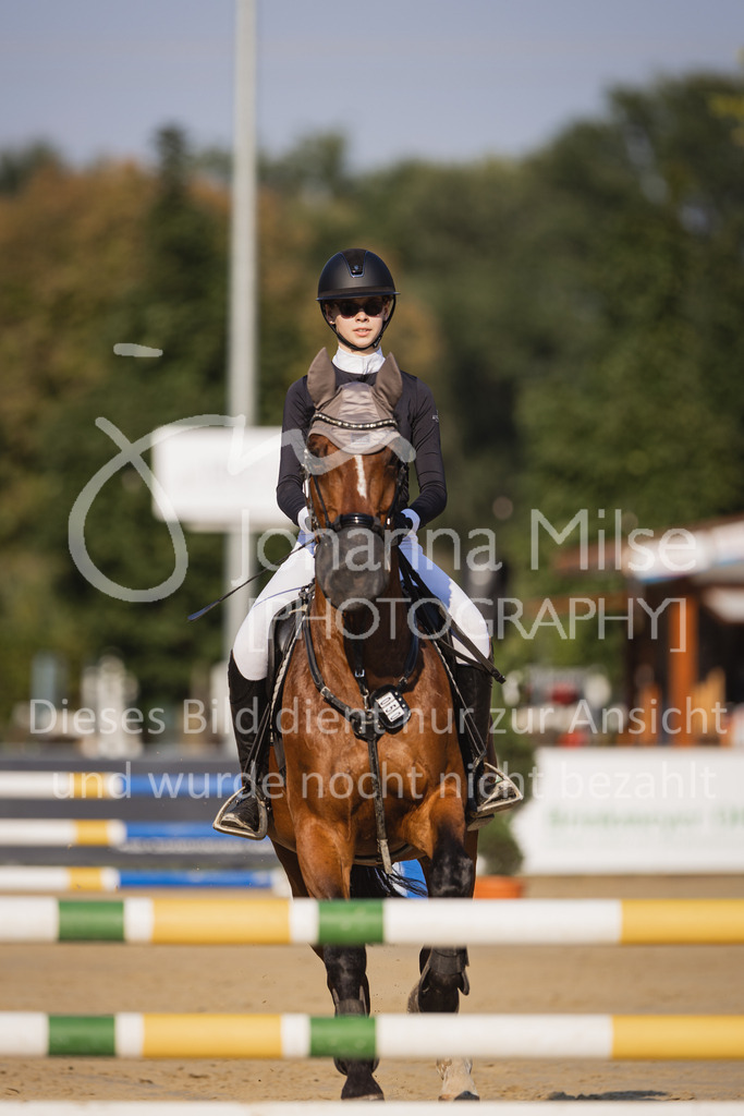 230823_Delbrueck_Stil-A1-124 | Deine schönsten Turniermomente als professionelle Fotos! Entdecke hochwertige Pferdesport-Fotografie im Online-Shop. Jetzt Fotos finden & bestellen!