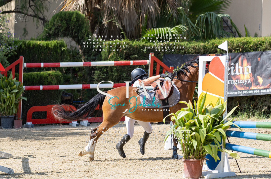 IMG_9946 | s-jay-photography - Realisiert mit Pictrs.com