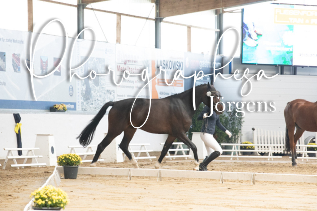 IMG_7378 | photographesa-joergens - Realisiert mit Pictrs.com