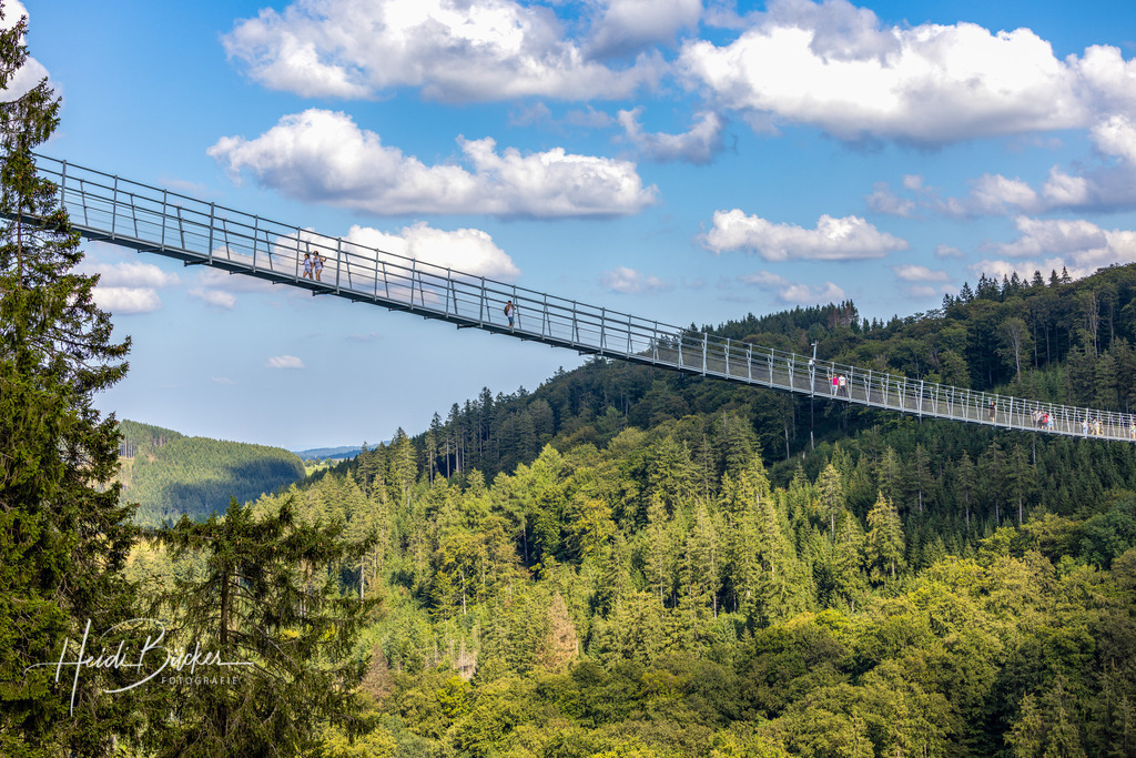 Skywalk Willingen über dem Strycktal | Der Skywalk Willingen ist die längste Hängebrücke Deutschlands und die zweitlängste der Welt. - Realisiert mit Pictrs.com