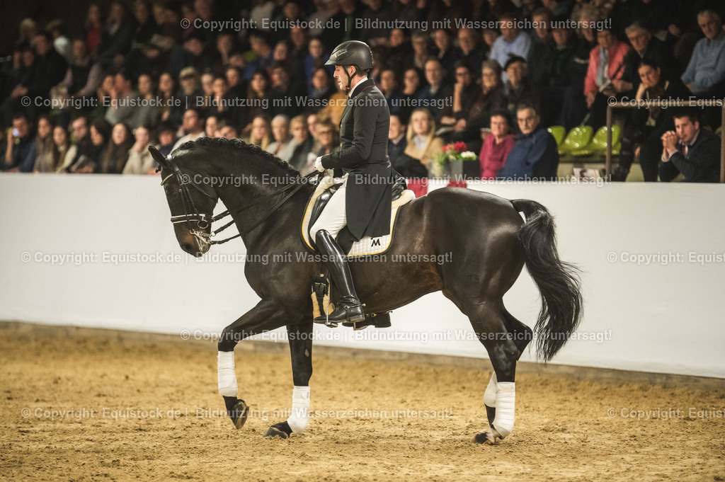 20240302_Hengstvorstellung_Marbach_TOMsPiC_1466 | equistock