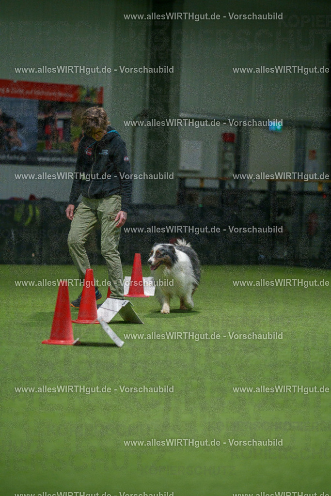 7R504689 | Professionelle Tierfotografie in Mönchengladbach von Daniel Wirth (allesWIRTHgut). Liebevolle & natürliche Bilder von Hunden & Katzen für unvergessliche Erinnerungen.