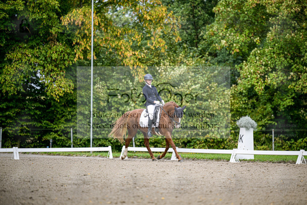 FOTO OGER | Entdecke hochwertige Reitturnierfotos von Foto Oger. Professionell, emotional und authentisch – jetzt Lieblingsmomente im Shop bestellen. - Realisiert mit Pictrs.com