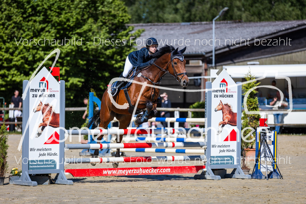 Donop24-A2Spr-118 | MomenTaufnahmen Pferdesportfotos