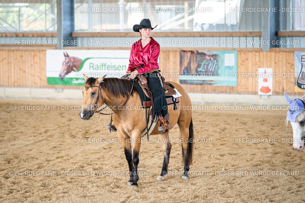 DSC03475 | Pferdegrafie