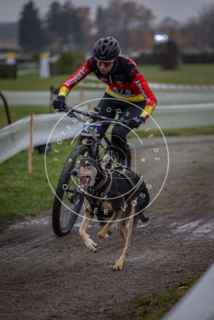 CaniXpix_0L8A1672 | Hundefotografie, Tierfotograf, Pfotenfotografie, Fotoshooting Hund, Hunde Portrait, Hundesport, Hundeportraits, Heideshooting, Hunde, Sportfotograf, Hundefotograf, Turnierhundsport, THS,  - Realisiert mit Pictrs.com