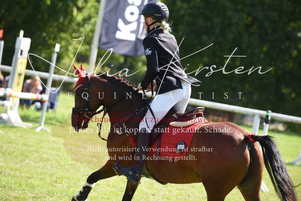 DSC_9265 | Pferde- und Turnierfotografie in Westsachsen. Pferdeportraits, Auftragszeichnungen und intuitive Kunst.