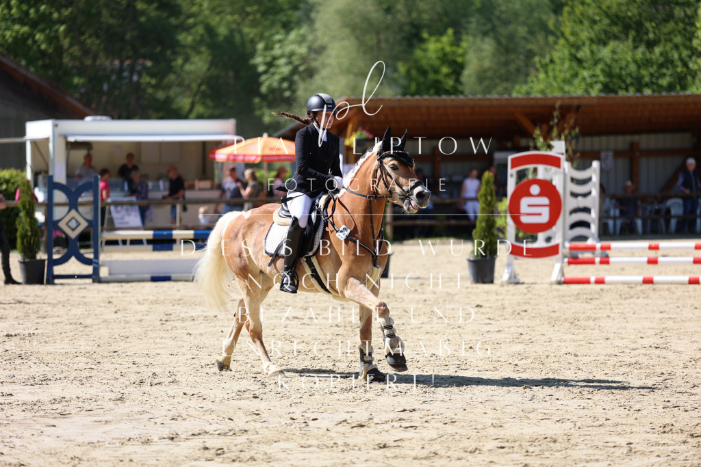 IMGS4585 | pl-fotografie