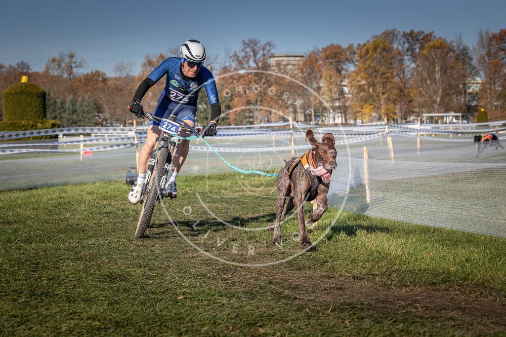 CaniXpix_0L8A5173 | Hundefotografie, Tierfotograf, Pfotenfotografie, Fotoshooting Hund, Hunde Portrait, Hundesport, Hundeportraits, Heideshooting, Hunde, Sportfotograf, Hundefotograf, Turnierhundsport, THS,  - Realisiert mit Pictrs.com